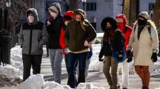 إعصار القنبلة يغرق كارولينا الشمالية بالثلوج والإغوانا تتساقط في فلوريدا